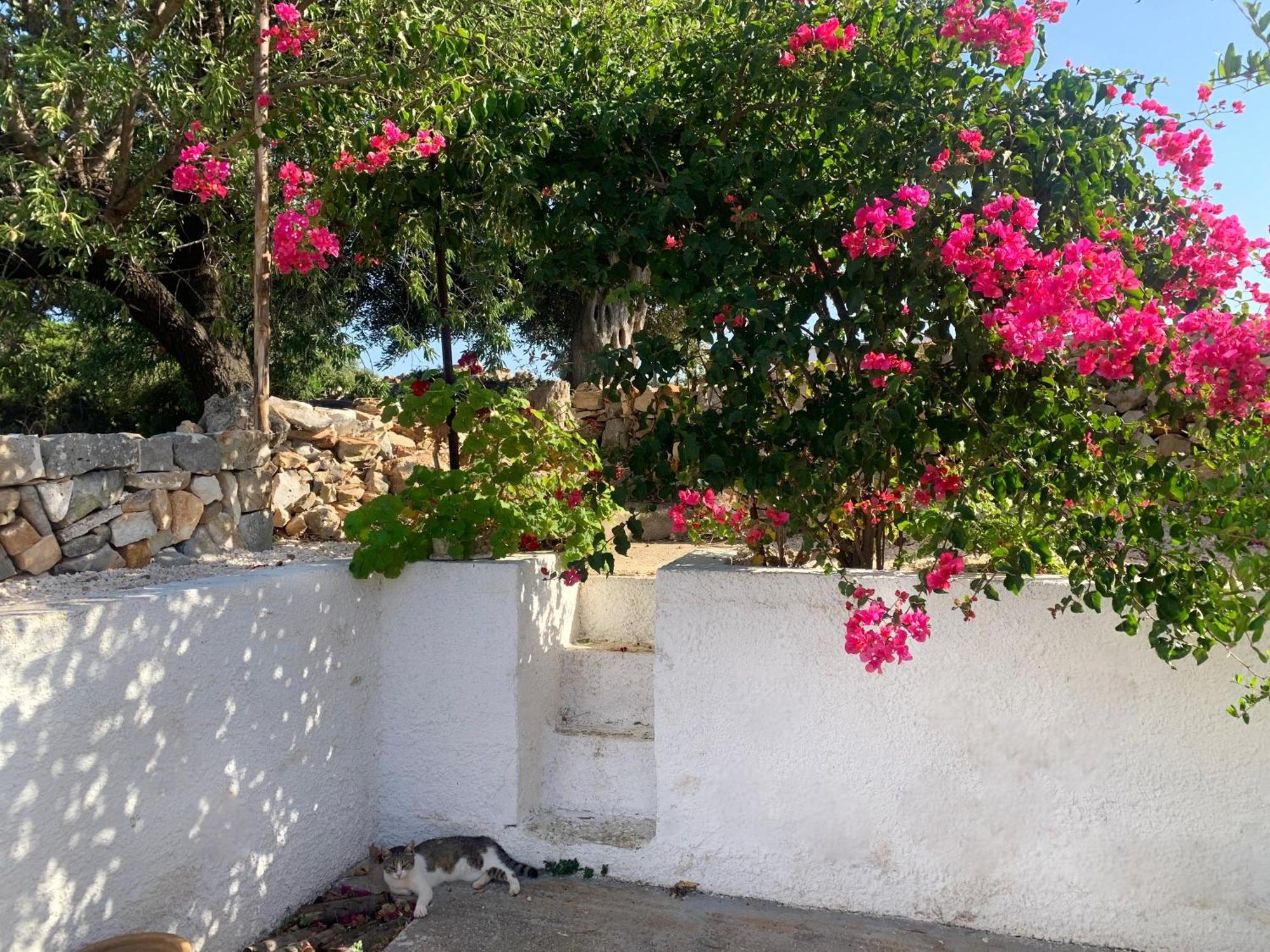 Bei Tempi Villa Polignano a Mare Luaran gambar
